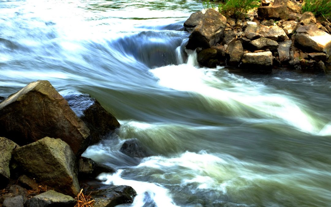 Wie du mit Ikigai dein Leben in Fluss bringst